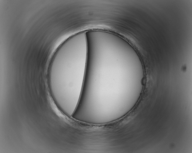 X0000116851038200912220937