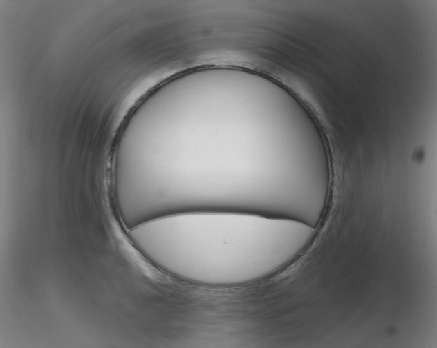 X0000116851040200912220937