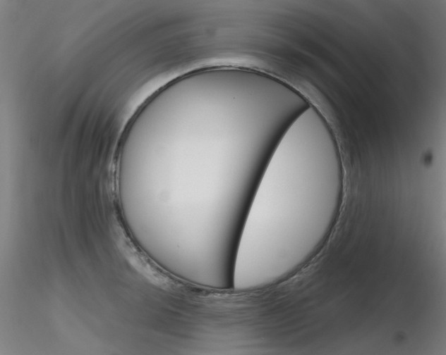 X0000116851044200912220937