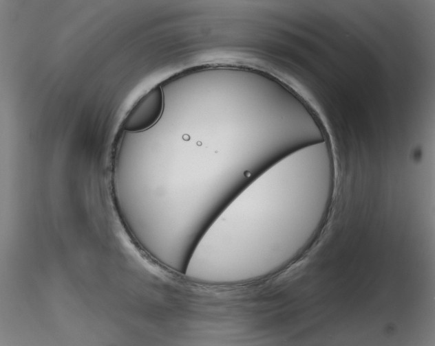 X0000116851045200912220937
