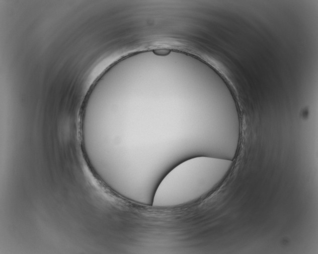 X0000116851047200912220938