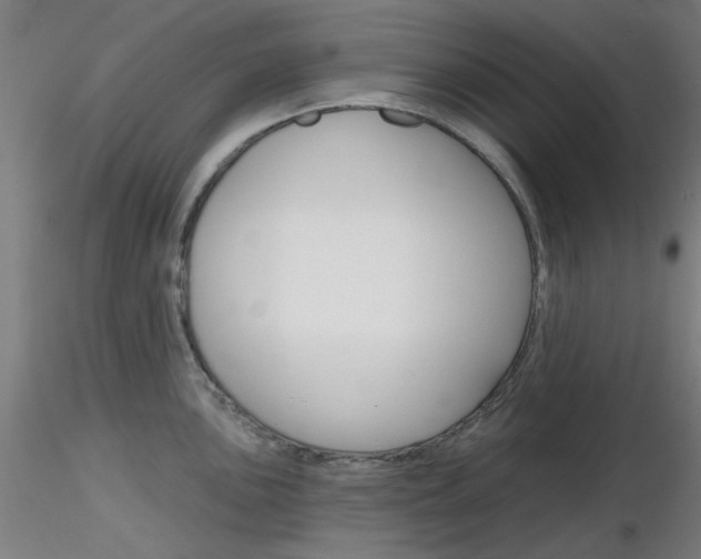 X0000116851051200912220938