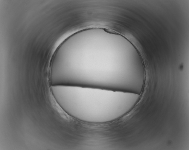 X0000116851052200912220938