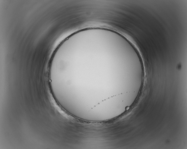 X0000116851053200912220938