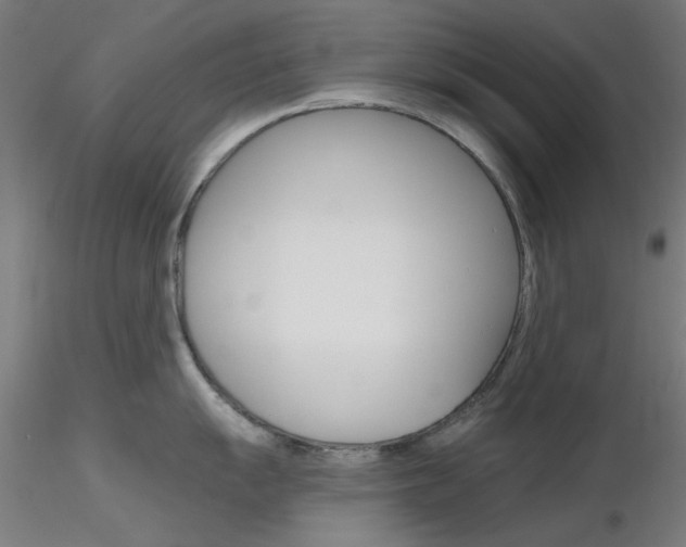 X0000116851055200912220938