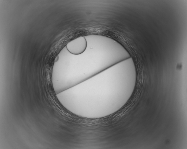 X0000116851058200912220937