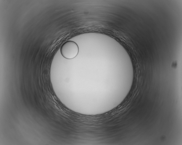 X0000116851060200912220937