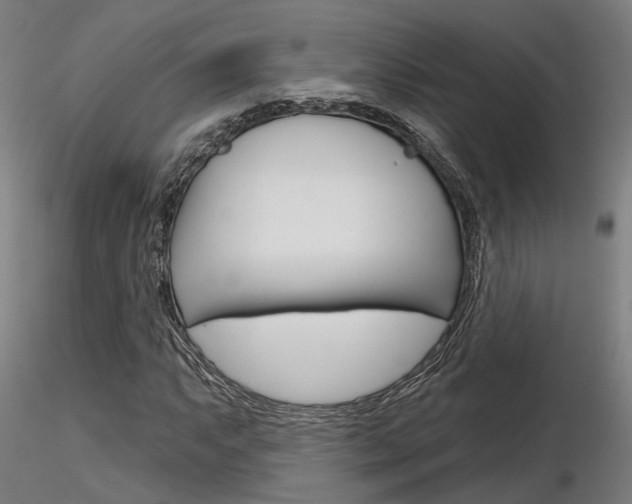 X0000116851063200912220937