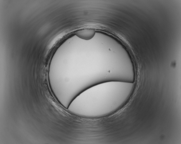 X0000116851067200912220937