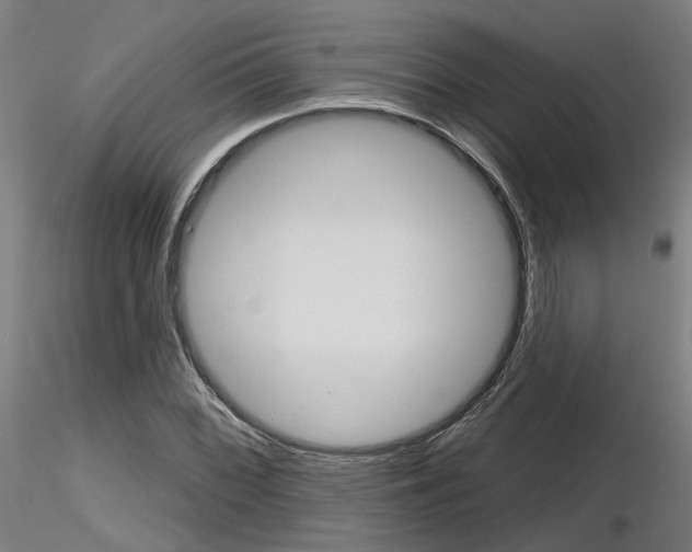 X0000116851068200912220937