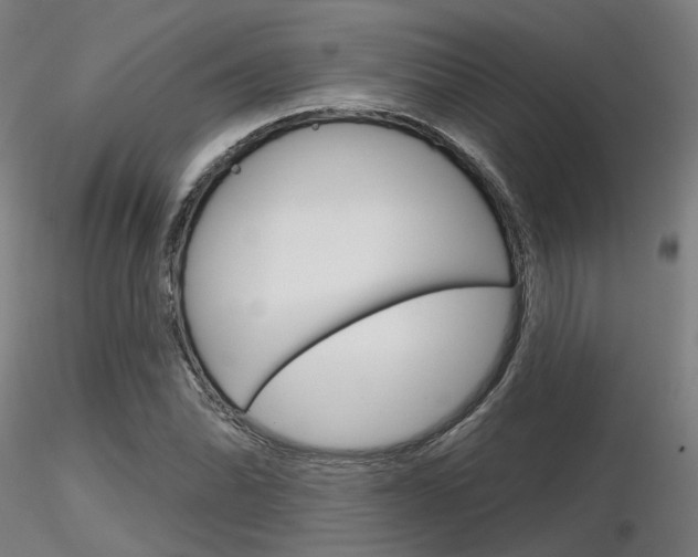X0000116851070200912220937