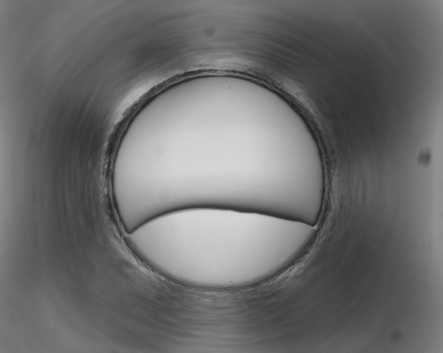 X0000116851071200912220937