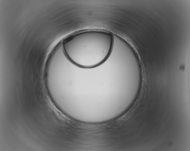X0000116851072200912220937