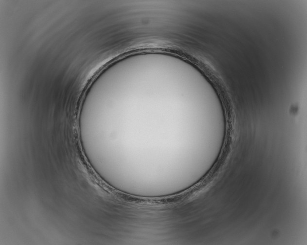X0000116851073200912220937