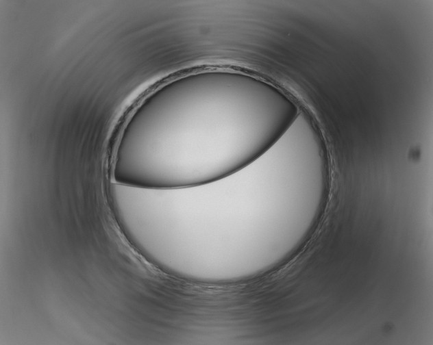 X0000116851076200912220937