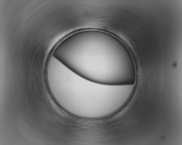 X0000116851077200912220937