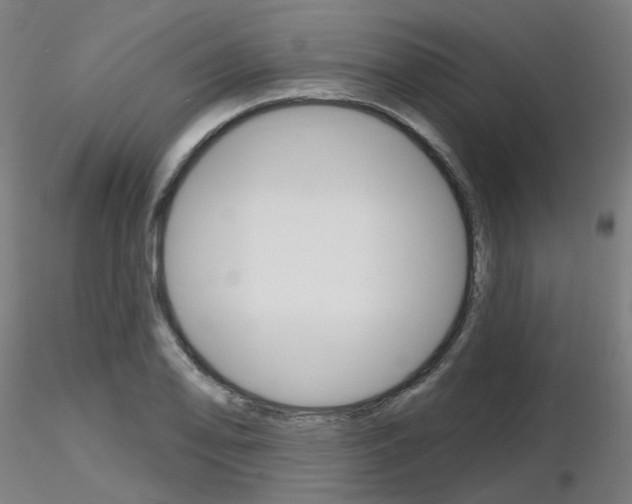 X0000116851078200912220937