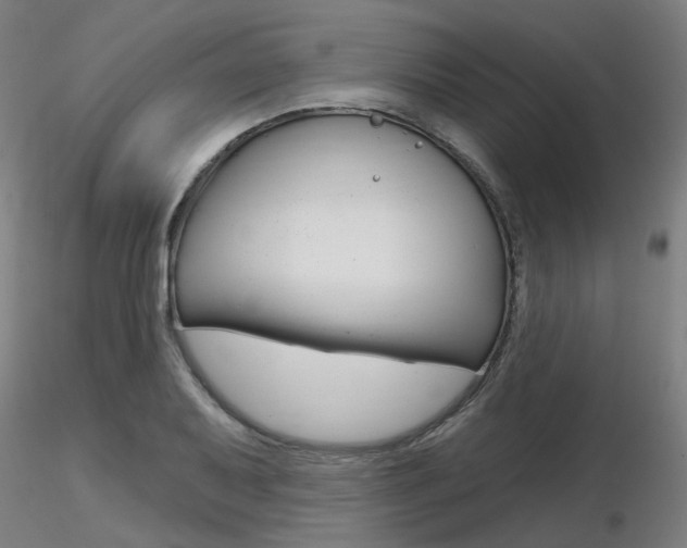 X0000116851079200912220937