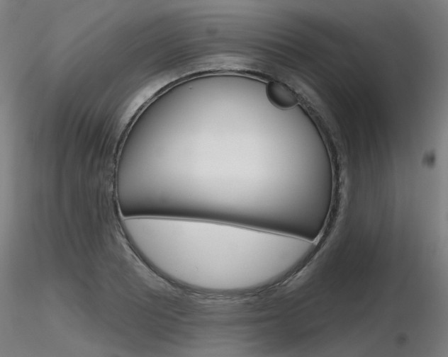 X0000116851081200912220937