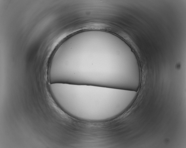 X0000116851083200912220937