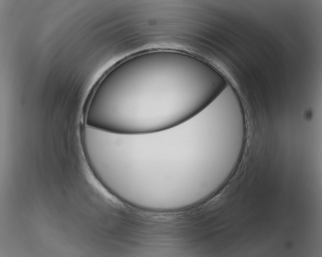 X0000116851084200912220937