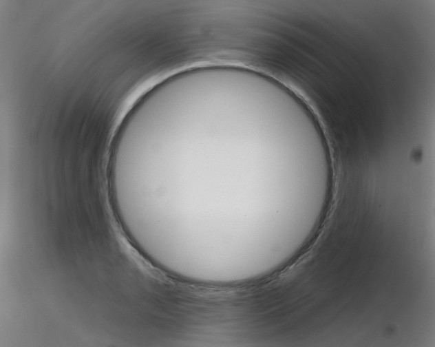 X0000116851085200912220937