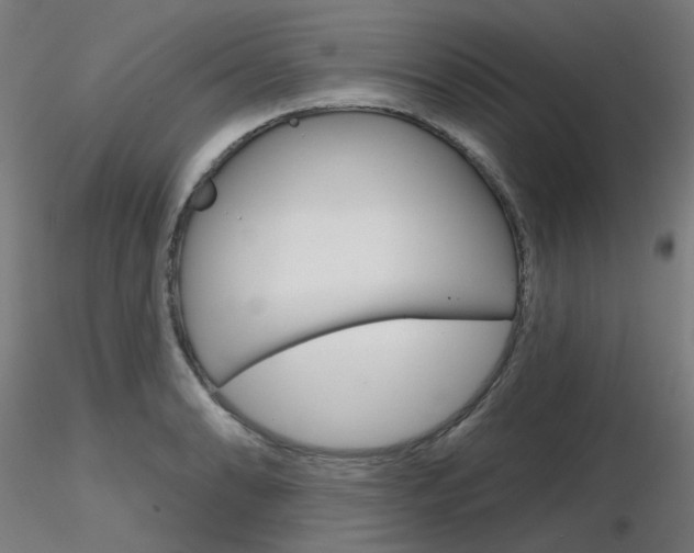 X0000116851086200912220937