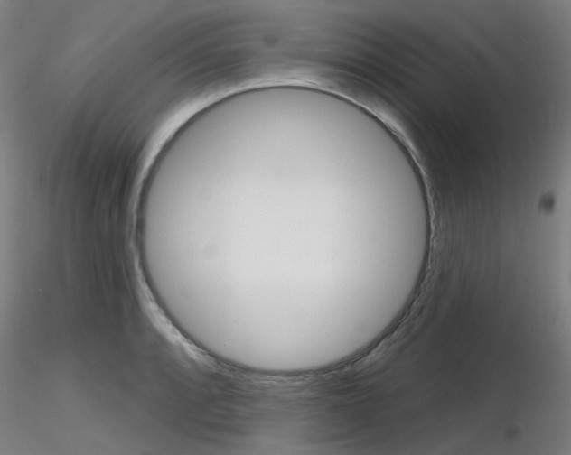 X0000116851088200912220937