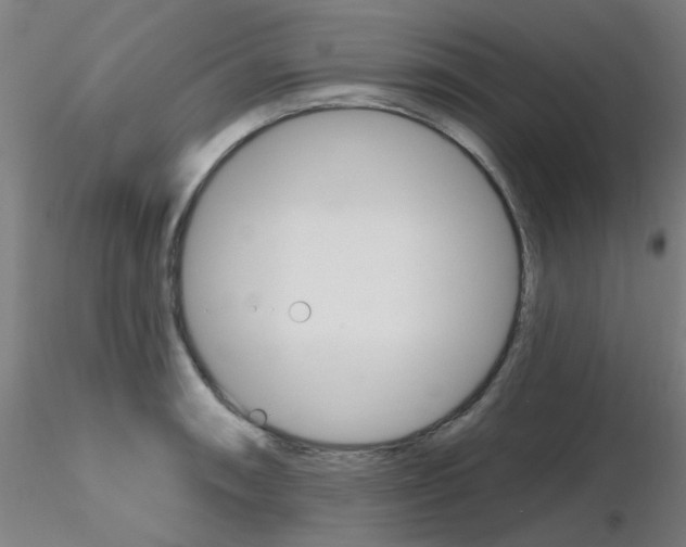 X0000116851090200912220937