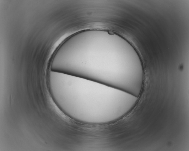 X0000116851091200912220937