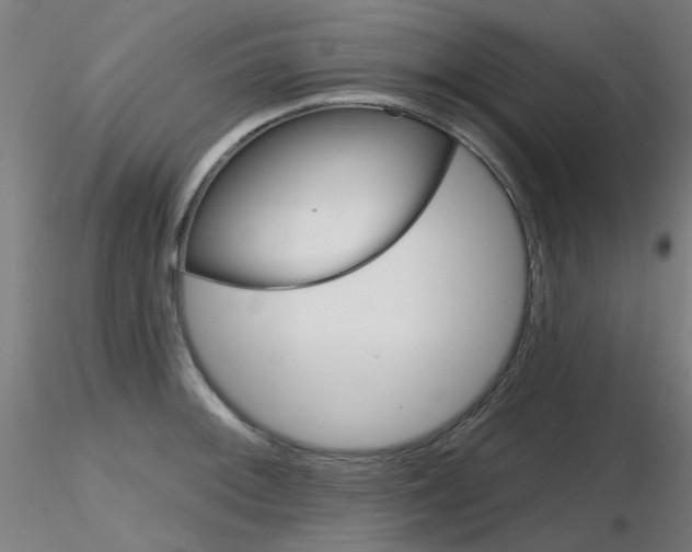 X0000116851092200912220937