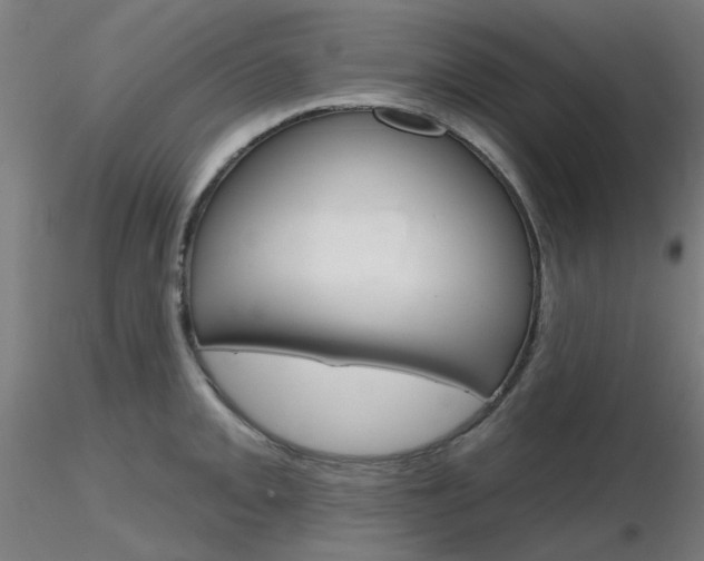 X0000116851093200912220936