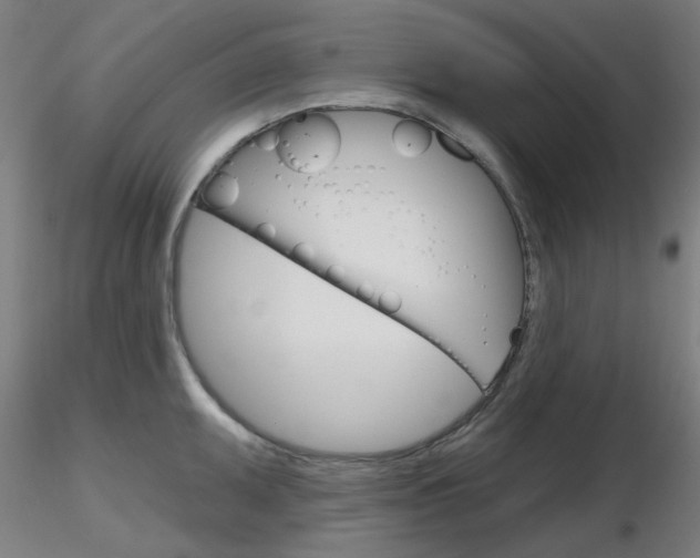 X0000116851095200912220936