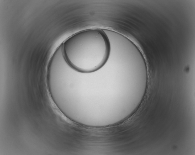 X0000116851096200912220936