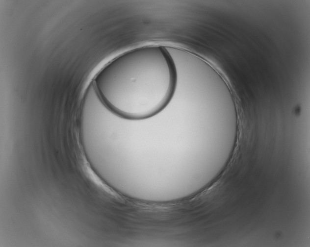 X0000116851100200912220936