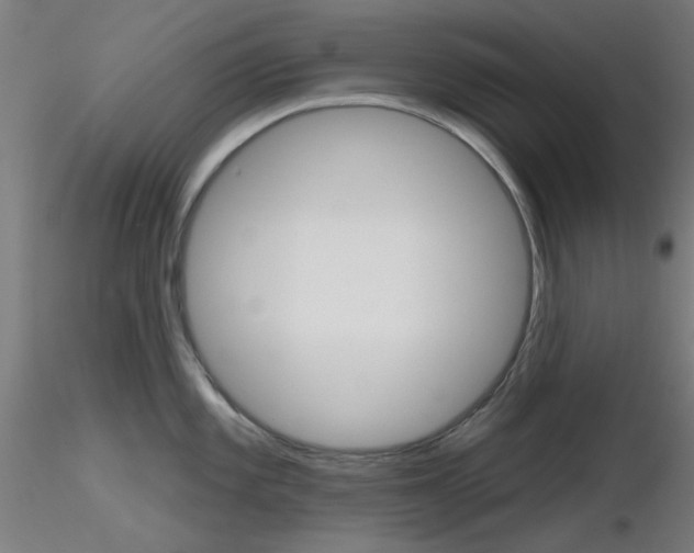 X0000116851101200912220936