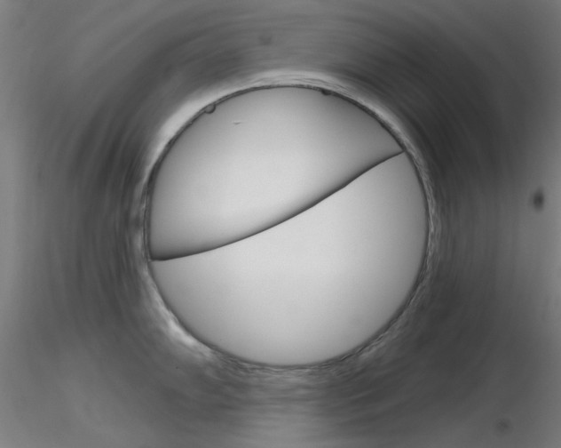 X0000116851102200912220936