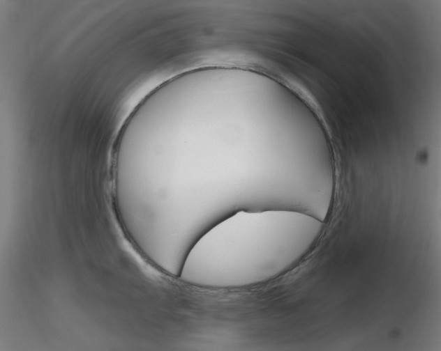 X0000116851103200912220936