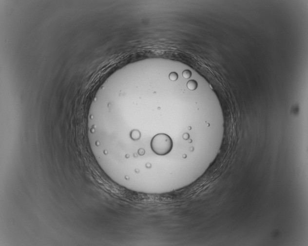 X0000116851105200912220936