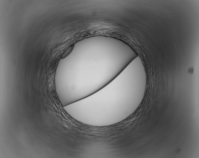 X0000116851109200912220936