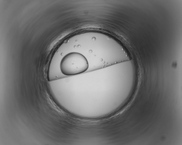X0000116851113200912220936