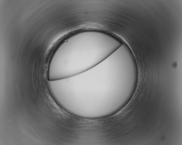 X0000116851115200912220936