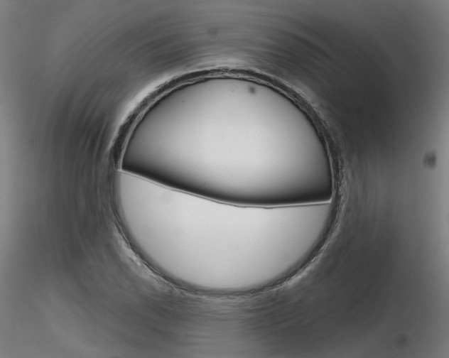 X0000116851118200912220936