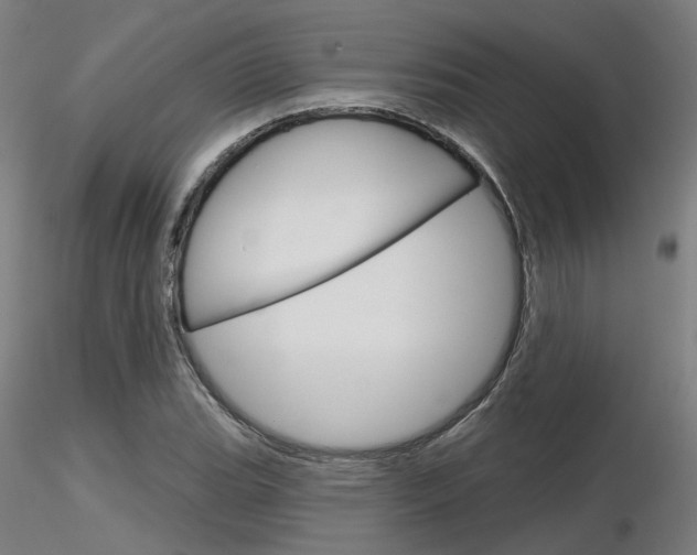 X0000116851119200912220936