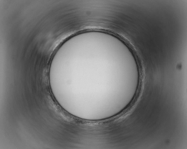 X0000116851121200912220936
