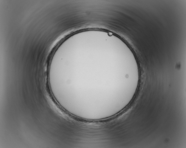X0000116851126200912220936