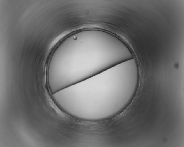 X0000116851127200912220936