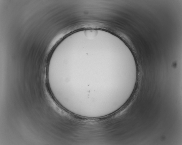X0000116851130200912220936