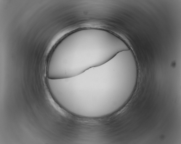 X0000116851131200912220936