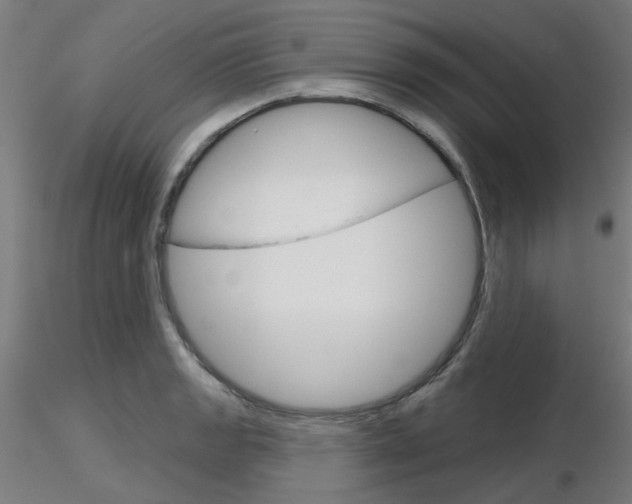 X0000116851133200912220936